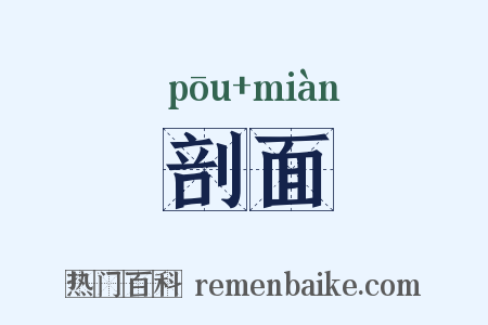 剖面是什么意思的图片
